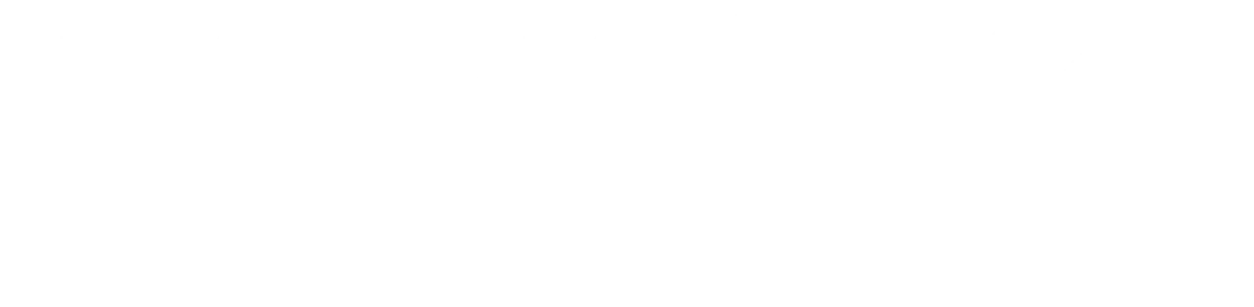 Pelipeto-casino-logo